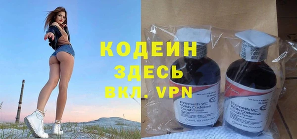 гидра Арсеньев