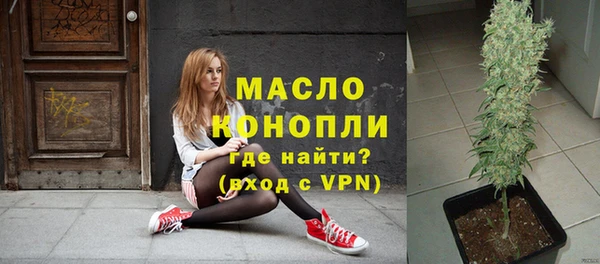 гидра Арсеньев