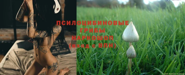 молекула духа Армянск