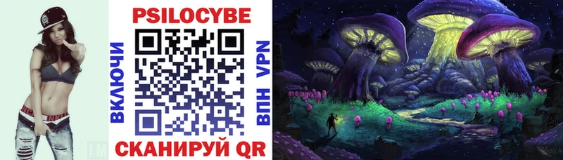 Галлюциногенные грибы Psilocybine cubensis  Гдов 