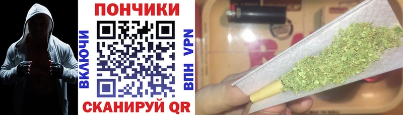 Бошки марихуана MAZAR  Гдов 